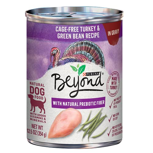 Book Cover Purina Beyond Wet Natural Dog Food With Gravy, Turkey & Green Bean Recipe - (12) 12.5 oz. Cans