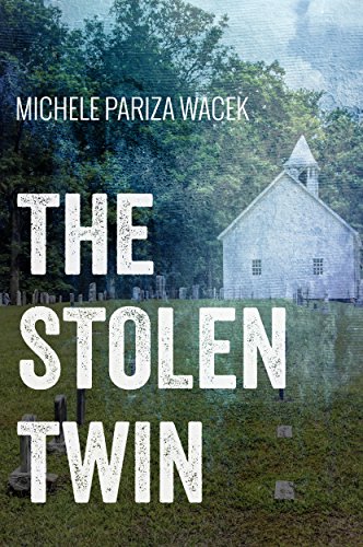 Book Cover The Stolen Twin (The Riverview Mysteries)
