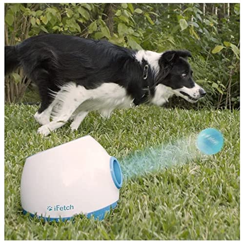 Book Cover iFetch Too (Large) Interactive Ball Thrower for Dogs- Launches Standard Tennis Balls