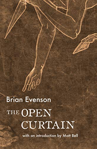 Book Cover The Open Curtain