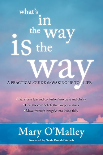 Book Cover What's in the Way Is the Way: A Practical Guide for Waking Up to Life