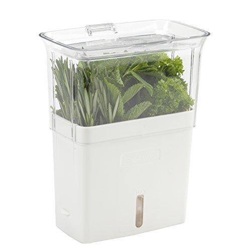 Book Cover COLE & MASON Fresh Herb Keeper, Container, Clear