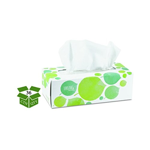 Book Cover Seventh Generation 13712CT 100% Recycled Facial Tissue, 2-Ply, 175 per Box (Case of 36)