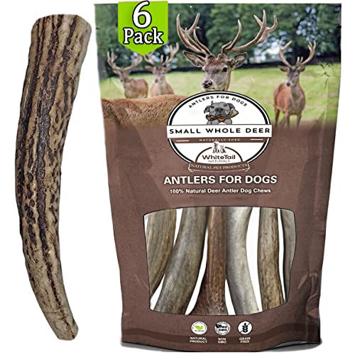 Book Cover WhiteTail Naturals - Antlers for Small Dogs (6 Pack) Deer Antler Dog Chew Bones for Small to Medium Aggressive Chewers - Long Lasting Horn Chew Toys - Naturally Shed