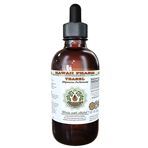Book Cover Teasel Alcohol-Free Liquid Extract, Teasel (Dipsacus fullonum) Dried Root Glycerite Natural Herbal Supplement, Hawaii Pharm, USA 2 fl.oz