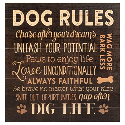 Book Cover P. Graham Dunn Dog Rules Paw Prints 12 x 12 Wood Pallet Design Wall Art Sign Plaque