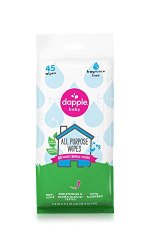 Book Cover DAPPLE All Purpose Wipes, Fragrance Free, Travel Size Wipes, 45 count