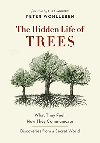 Book Cover The Hidden Life of Trees: What They Feel, How They Communicate—Discoveries from A Secret World (The Mysteries of Nature Book 1)