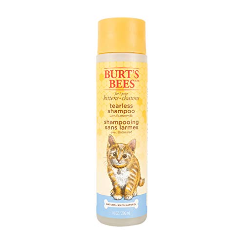 Book Cover Burt's Bees for Kittens Natural Tearless Shampoo with Buttermilk | Cat Shampoo for All Cats and Kittens | Cruelty Free, Sulfate & Paraben Free, pH Balanced for Dogs - Made in USA, 10 Oz
