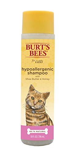 Book Cover Burt's Bees for Cats Hypoallergenic Shampoo with Shea Butter and Honey | Best Shampoo For All Cats and Kittens With Sensitive Skin