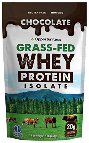 Book Cover Chocolate Whey Protein Powder - Grass Fed Whey Isolate + Organic Cacao + Real Sugar + Himalayan Salt - Delicious Taste for Shakes, Smoothies, Cooking & Baking Recipes - Gluten Free & Non GMO - 1 Pound