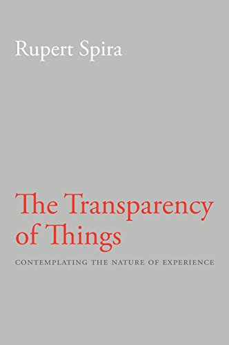 Book Cover The Transparency of Things: Contemplating the Nature of Experience