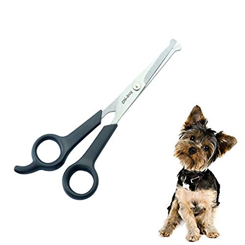 Book Cover Professional Pet Grooming Scissors with Round Tip Stainless Steel Dog Eye Cutter for Dogs and Cats, Professional Grooming Tool, Size 6.70