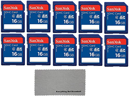 Book Cover 10 Pack SanDisk SD HC 16 GB Class 4 Flash Memory Card SDSDB-016G Retail - With Everything But Stromboli (tm) MicroFiber Cleaning Cloth