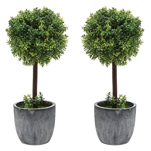 Book Cover Set of 2 Small Realistic Artificial Boxwood Topiary Trees / Faux Tabletop Plants w/ Gray Ceramic Pots