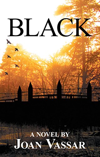 Book Cover BLACK (The Black Series Book 1)