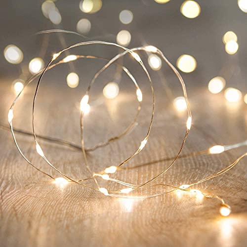 Book Cover ANJAYLIA LED Fairy String Lights, 10Ft/3M 30leds Firefly String Lights Garden Home Party Wedding Festival Decorations Crafting Battery Operated Lights(Warm White)