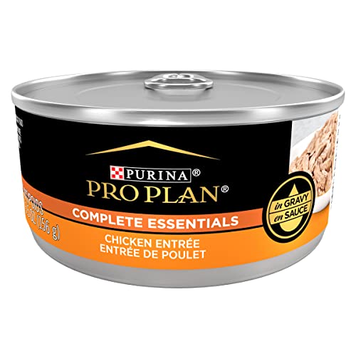 Book Cover Purina Pro Plan Complete Essentials High Protein Cat Food Gravy, Wet Cat Food Chicken Entree - 5.5 oz. Can