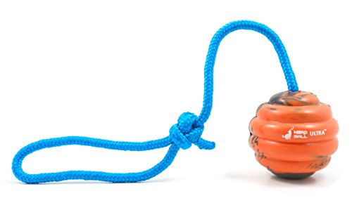 Book Cover Nero Ball Ultra TM - Dog Training Ball On A Rope - Exercise and Reward Toy for Dogs