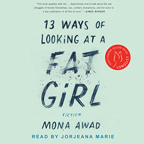 Book Cover 13 Ways of Looking at a Fat Girl