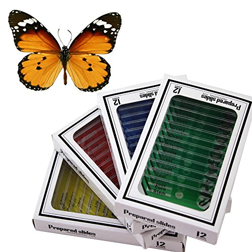 Book Cover WhizKidsLab 48pcs Animals Insects Plants Flowers Plastic Prepared Microscope Slides Set + 1 pc Real Butterfly Specimen Children Student Science Education Toy