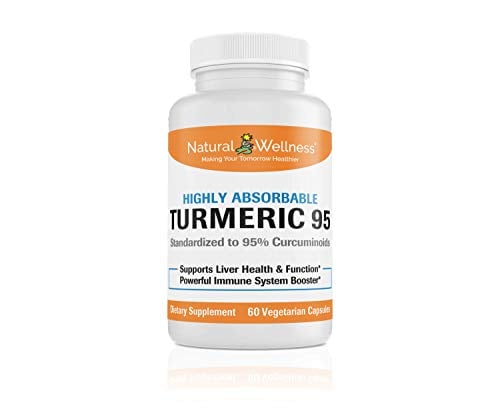 Book Cover Natural Wellness Turmeric 95 Offers a Highly absorbable Turmeric and BioPerine® Combination - 60 vcaps