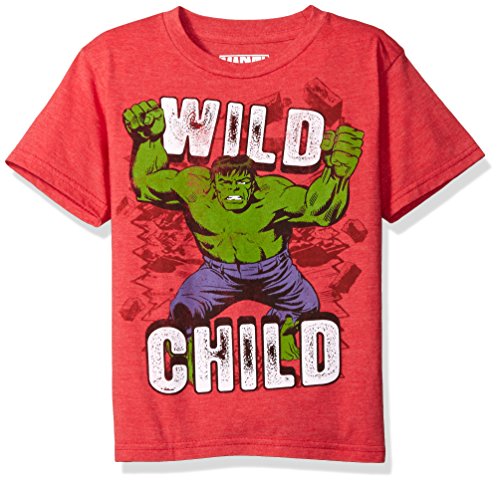 Book Cover MARVEL Little Boys' The Incredible Hulk T-Shirt - red - Small