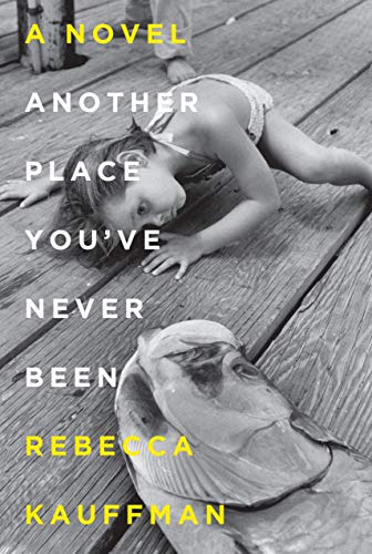 Book Cover Another Place You've Never Been: A Novel