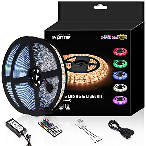 Book Cover DAYBETTER Led Strip Light Waterproof 600leds 32.8ft 10m Waterproof Flexible Color Changing RGB SMD 5050 600leds LED Strip Light Kit with 44 Keys IR Remote Controller and 12V Power Supply