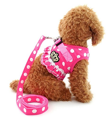 Book Cover SELMAI brother cat dog Small Dog Harness Pink Leash Set Ladies Polka Dot Vest Mesh Padded Lead for Pet Cat Puppy Girls S