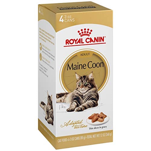 Book Cover Royal Canin Adult Maine Coon Thin Slices in Gravy Canned Cat Food (4x3 oz)