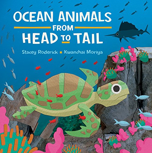 Book Cover Ocean Animals from Head to Tail