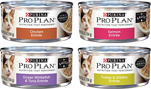 Book Cover Purina Pro Plan Savor Cat Food Variety Pack, 4 Flavors, 5.5-Ounces Each (12 Total Cans)
