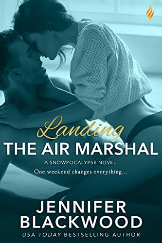 Book Cover Landing the Air Marshal (Snowpocalypse Book 1)