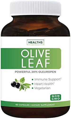 Book Cover Olive Leaf Extract (Non-GMO) Super Strength: 20% Oleuropein - 750mg - Vegetarian - Immune Support, Cardiovascular Health & Antioxidant Supplement - No Oil - 60 Capsules