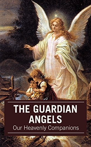 Book Cover The Guardian Angels: Our Heavenly Companions
