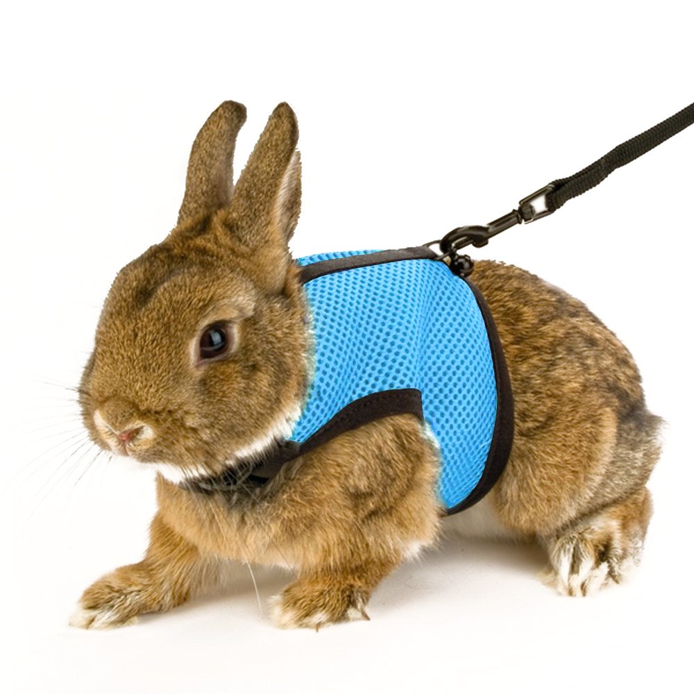 Book Cover Calunce Soft Rabbits Harness with Elastic Leash (Blue 1pcs)