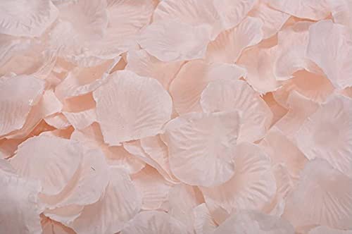 Book Cover ocharzy 1000pcs Rose Petals Artificial Silk Flower Rose Petals for Wedding Decorations, Romantic Night, Valentine's Day, Parties, Events (Champagne Like Pink)