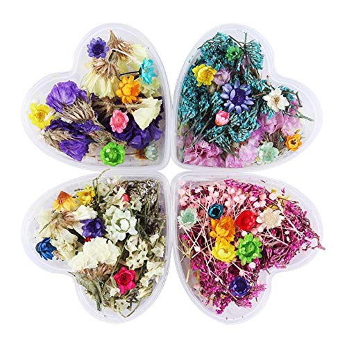 Book Cover NICOLE DIARY 4 Boxes Dry Flower Nail Art DIY Preserved Flower Decorations Real Dry Flowers With Heart-Shaped Box for Resin Craft DIY Nail Decoration Nail Tips Manicure