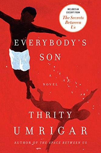 Book Cover Everybody's Son: A Novel