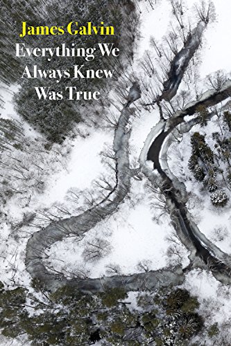 Book Cover Everything We Always Knew Was True