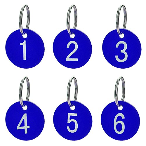 Book Cover Aspire Numbered Tags with Key Ring, Acrylic Id Tags for Organizing 50 Pieces-Blue-1to50