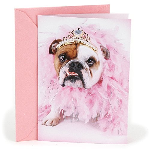 Book Cover Hallmark Shoebox Funny Birthday Greeting Card (Bulldog in Tiara)