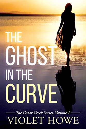 Book Cover The Ghost in the Curve (Cedar Creek Mysteries Book 1)