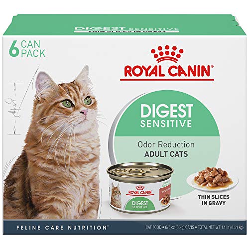 Book Cover Royal Canin Feline Care Nutrition Digest Sensitive Canned Cat Food, 3 oz (Pack of 6)