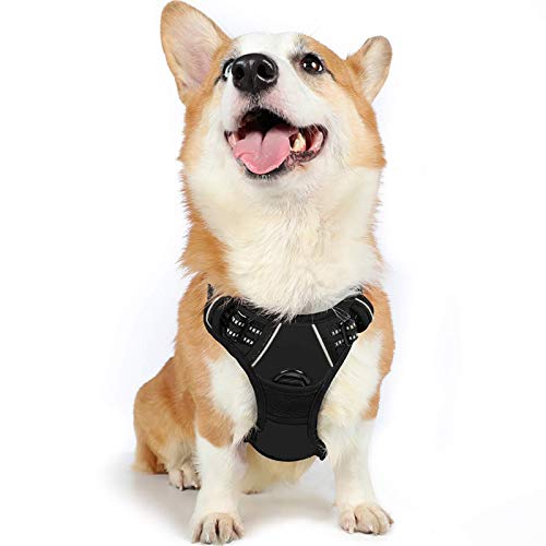 Book Cover rabbitgoo Dog Harness, No-Pull Pet Harness with 2 Leash Clips, Adjustable Soft Padded Dog Vest, Reflective No-Choke Pet Oxford Vest with Easy Control Handle for Medium Dogs, Black, M