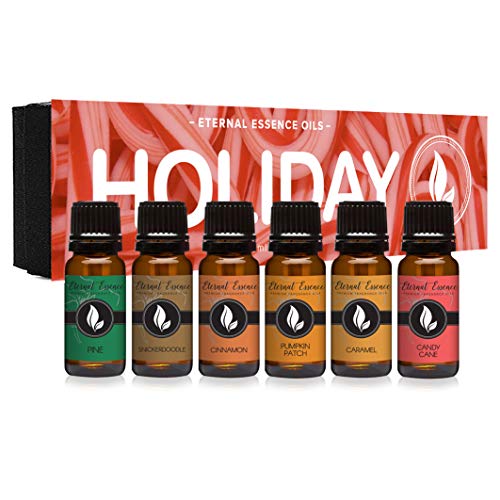 Book Cover Holiday Gift Set of 6 Premium Grade Fragrance Oils - Candy Cane, Pine, Pumkin Patch, Cinnamon, Caramel, Snickerdoodle - 10Ml - Scented Oils