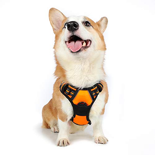 Book Cover rabbitgoo No Pull Dog Harness Medium, Front Loading Pet Vest Harness with Handle Strong Adjustable Dog Padded Harness Reflective Mesh Lightweight Easy Control Dog for Outdoor Training Walking Orange