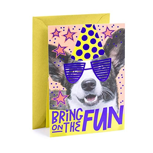 Book Cover Hallmark Pop Up Birthday Card (Birthday Dog)