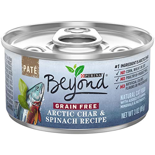 Book Cover Purina Beyond Grain Free, Natural Pate Wet Cat Food, Grain Free Arctic Char & Spinach Recipe - (12) 3 oz. Cans